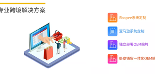 shopee虾皮ERP店群管理系统,shopee批量采集刊登ERP系统